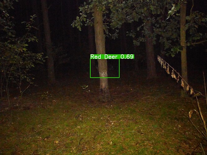 trailcam_image