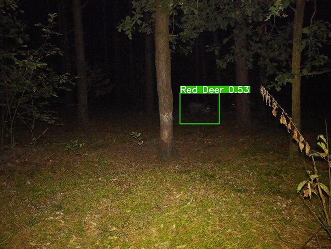 trailcam_image