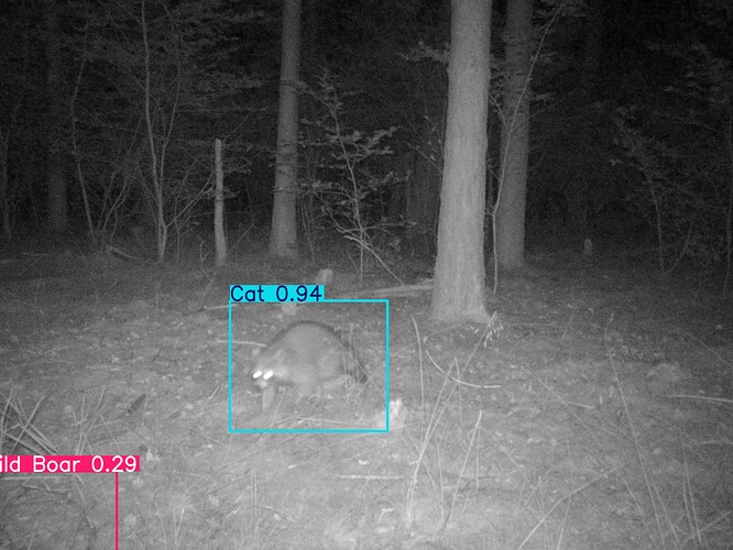 trailcam_image