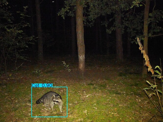 trailcam_image