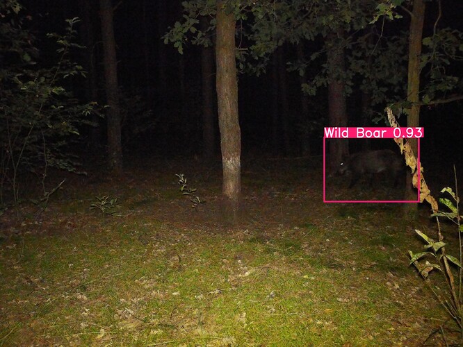 trailcam_image