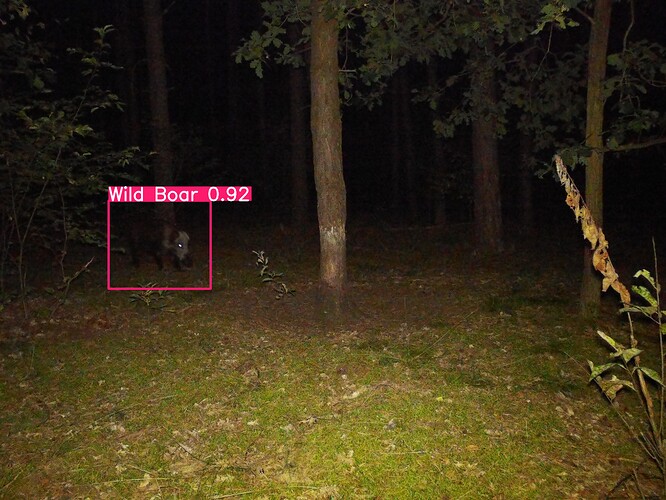 trailcam_image
