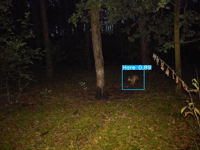 trailcam_image
