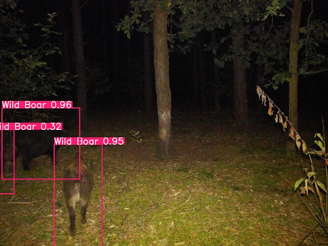 trailcam_image